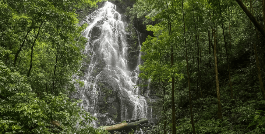 Hiking Rincón de la Vieja